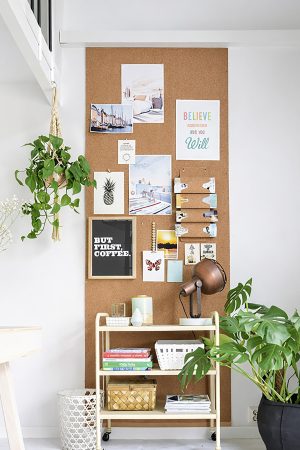 Cork Roll for Wall |  2m x 1.22 m x 6 mm