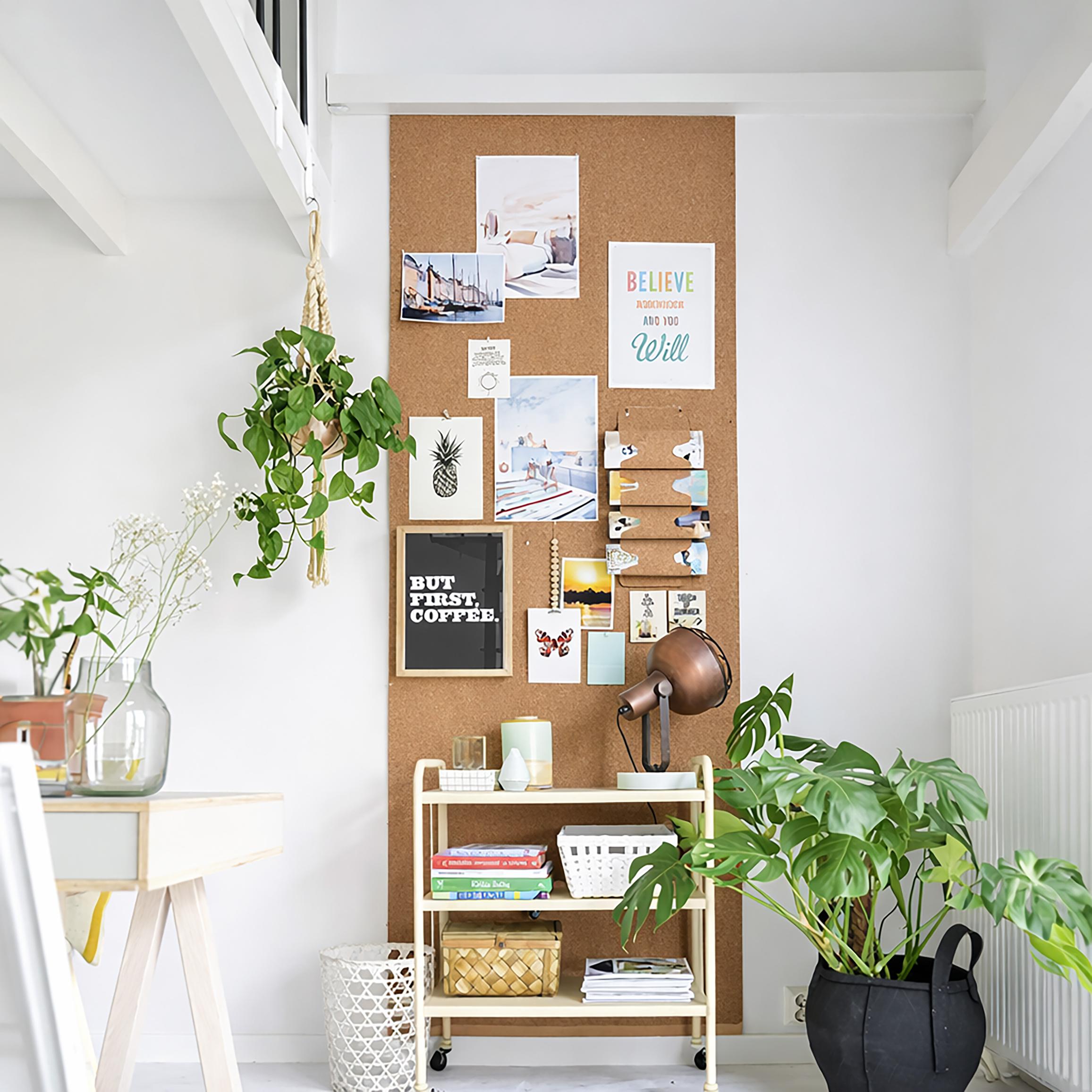 Cork Roll for Wall | 2m x 1.22 m x 6 mm